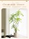Artificial Green Plant of Nandina, Floor-Standing Floral Arrangement, Indoor Living Room Large Potted Plant, Small-Leaf Artificial Flower Decoration
