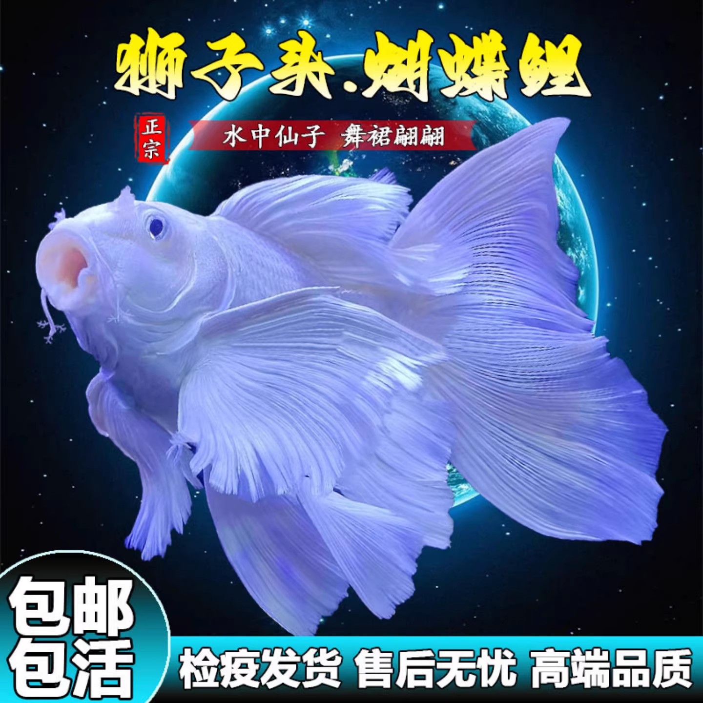 骆姐活宠馆