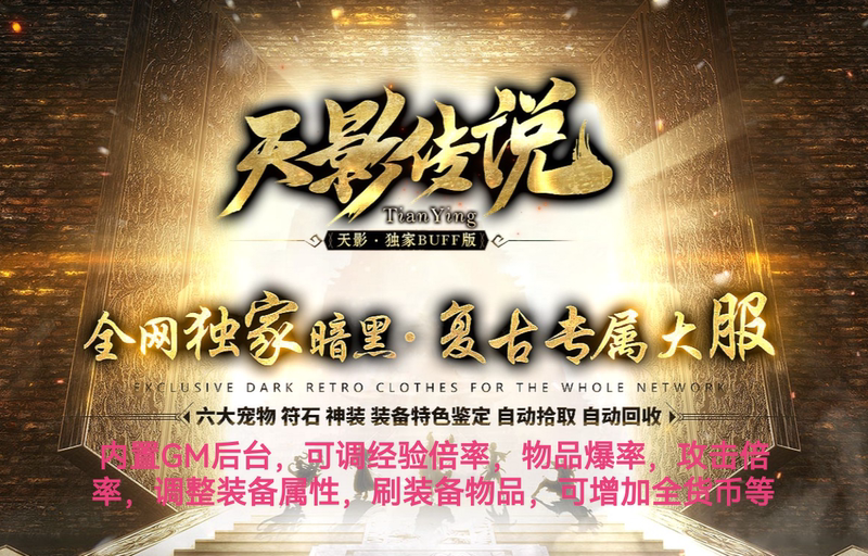 [Installation Included] Legend of Heaven Shadow 3 Peak-Level Dummy Character Three-Class Pet Appraisal Dungeon, Can Be Played Offline or Online