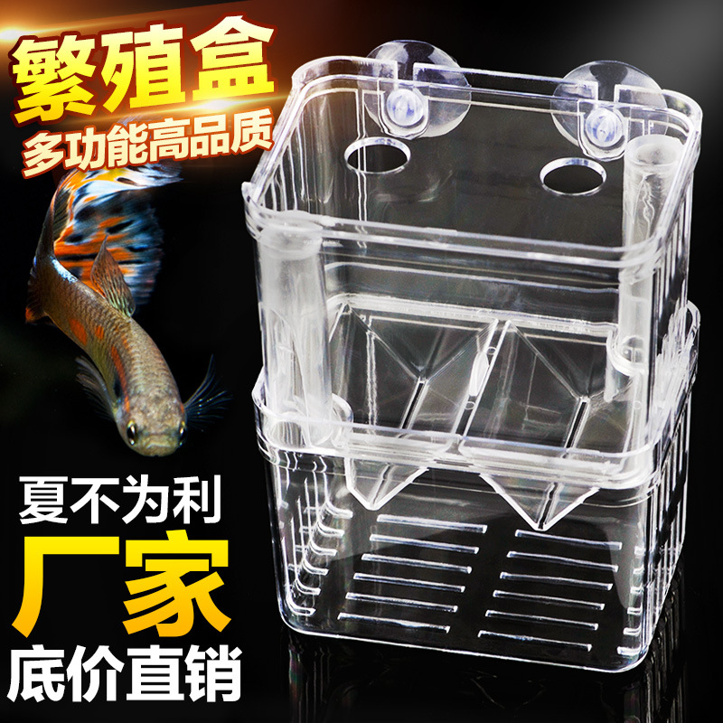 Aquarium Acrylic Fish Tank Peacock Isolation Case Hatchbox Propagation Box Separator Box Small Fry isolated box Large number