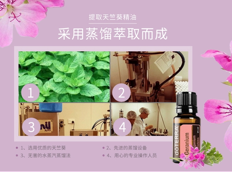 Mỹ chính hãng Dotray doTERRA phong lữ duy nhất tinh dầu nhập khẩu vẻ đẹp tế bào cơ tái tạo kiểm soát dầu hương liệu