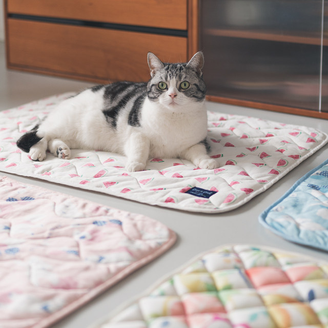 Sesame Qinliang Summer Cooling Cat Mat and Dog Mat for Sleeping Cat ເສື່ອນອນ, ເສື່ອ, ຜ້າຫົ່ມ, ຜ້າປູບ່ອນນອນໝາ