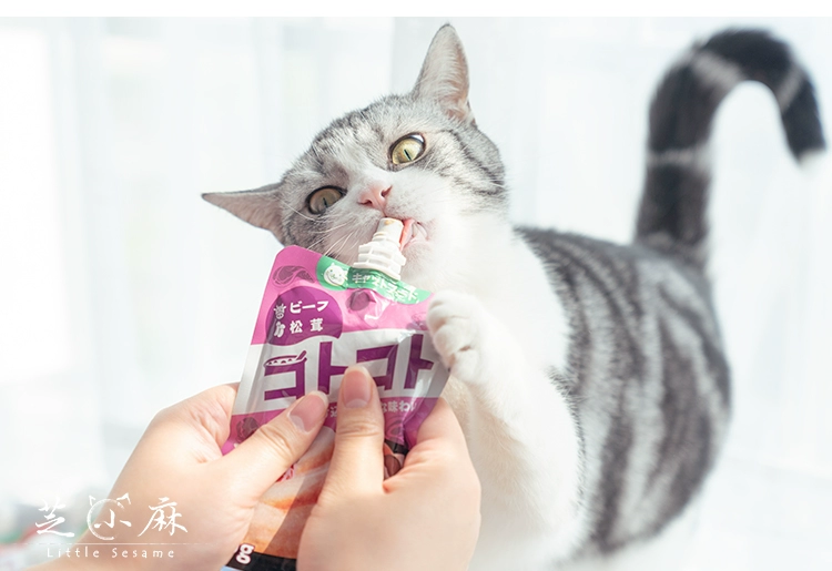 小 麻 酱 Nhật Bản Hell Kitchen Cat Sauce Wet Food Food Thực phẩm tươi tuyệt vời Gói Cat Cat Bánh kem Mèo ăn vặt - Đồ ăn nhẹ cho mèo