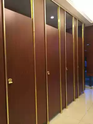 Public health partition resistant double special board waterproof moisture-proof PVC shower room Office School toilet door