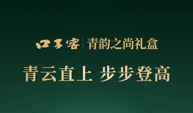 安享好物 安享B级白酒-口子窖青韵之尚 50度白酒 企标