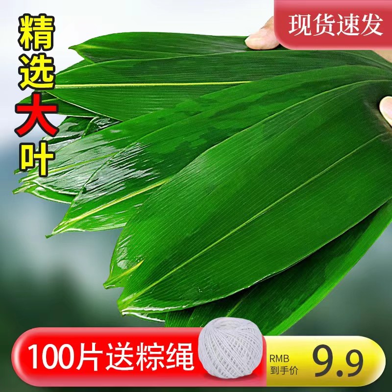 滕国嘉誉箬叶：包粽子必备神器，新鲜大号粽叶，让你轻松制作美味佳肴！-粽叶-淘宝百科网