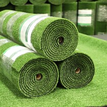 Artificial simulation lawn carpet green outdoor indoor and outdoor balcony kindergarten plastic artificial fake turf ground mat