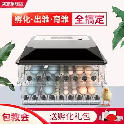 Chicken goose parrot egg hatching box hatching egg incubator Small household water bed hatching machine automatic intelligent