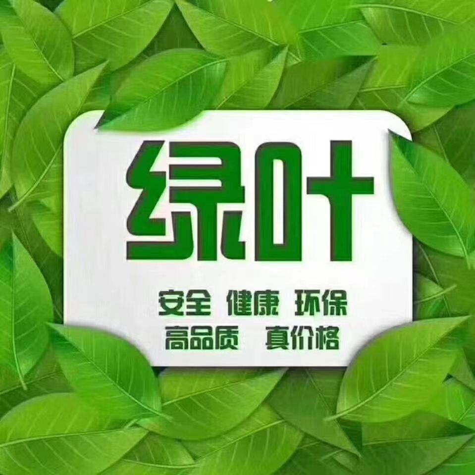 绿叶爱生活苏州店