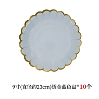 Голубой 9-дюймовый чистый синий диск