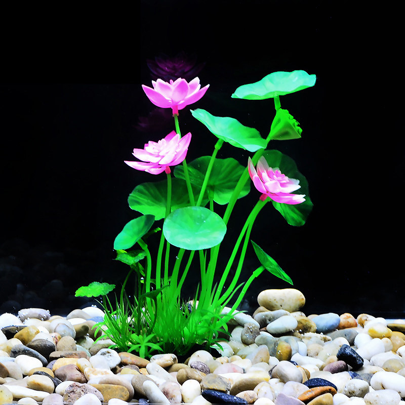Fish tank aquatic weed plant duckweed aquatic grass lazy man aquatic grass simulation aquatic plant landscaping package fish tank landscaping fish tank aquatic plant