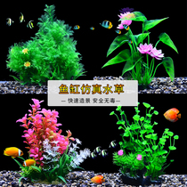 Fish tank Scenery Decoration Waterweed Plant Fish Tank Water Grass Pendulum Piece Emulation Aqua Grass Plastic Flower Sloth Water Grass package