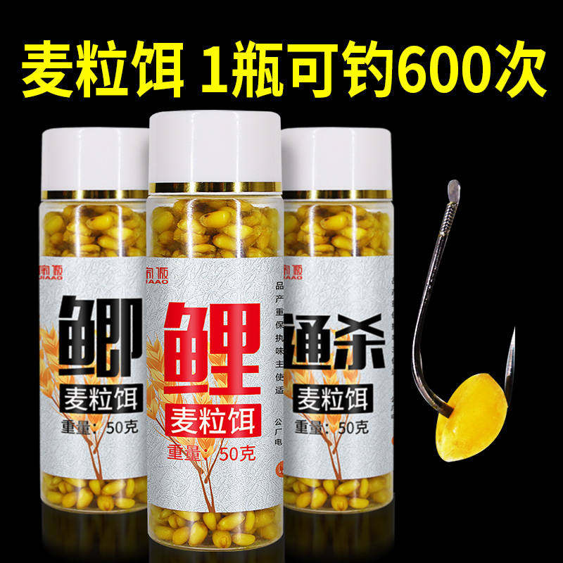 Wheat grain bait wild fishing Black pit Crucian carp carp grass carp Old altar wheat bait Corn grain particles hook fishing