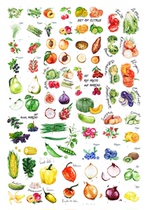 (Uncut) Pocket stickers homemade A4 sulfuric acid paper matte self-adhesive gourmet watercolor food 15