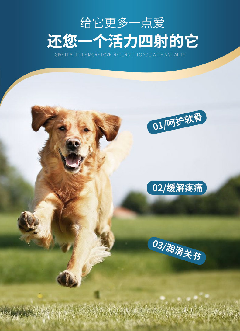 Viscon cá mập chondroitin hạt Pet chó mèo gấp tai chondroitin đặc biệt - Cat / Dog Health bổ sung 	sữa cho chó con 3 tuần tuổi