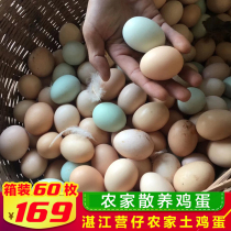 (60 free-range farm eggs 165 yuan) fresh rural self-raised stupid eggs firewood eggs grass eggs