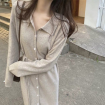 Autumn wear 2021 New loose thin foreign atmosphere age long polo knitted base dress women autumn and winter