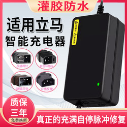 리마 전기 자동차 충전기 48V12AH60V20AH72V 방수 납산 그래 핀 빠른 충전 범용에 적합합니다.