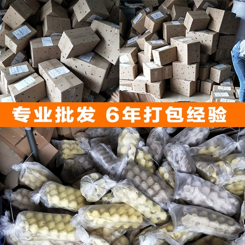 Maihiyuan Ячменная червь Живая Арована ест птиц и живых насекомых