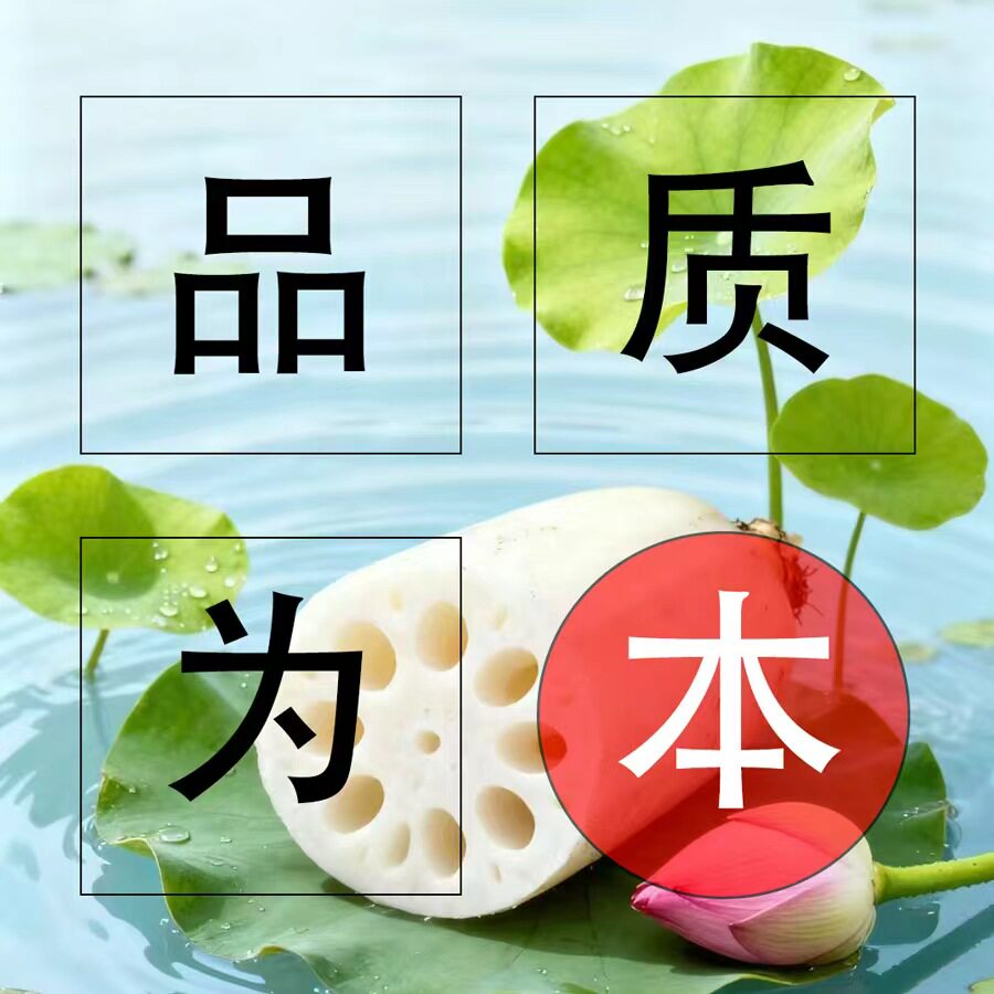 洪湖品质为本莲藕店
