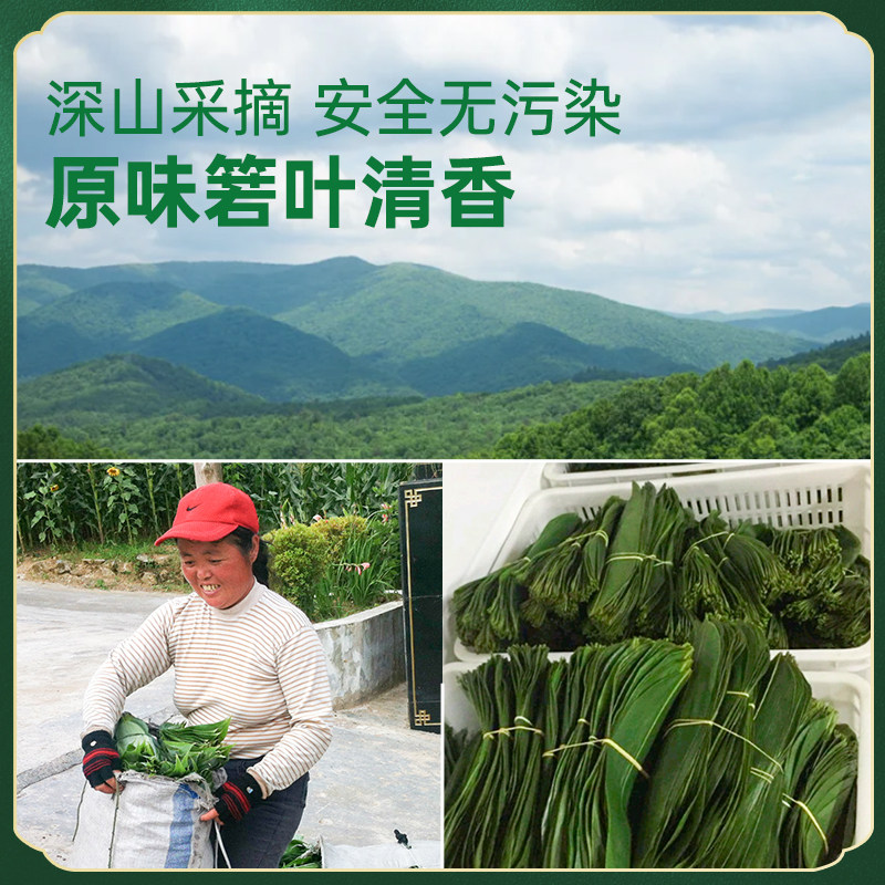 阳春特色绞古叶竟是粽子“灵魂”？揭秘真假粽叶选购指南-粽叶-淘宝百科网