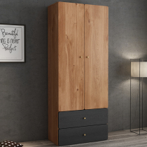 Nordic wardrobe assembly economy two-door wardrobe modern simple two-door storage cabinet small apartment locker wardrobe