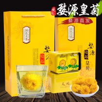 Jiangxi Wuyuan Xiaoqi Imperial chrysanthemum one cup heat-clearing chrysanthemum tea Non-golden silk imperial Chrysanthemum Huangshan Chrysanthemum gift box