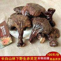 Changbai Mountain under the forest wild red Ganoderma lucidum natural deep mountain whole branch wood Ganoderma northeast specialty 100g can slice