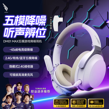 Siberian Feather Dm01Max Wireless Over-Ear Headphones for Gaming, Dedicated for Computers, with Noise-Canceling Microphone