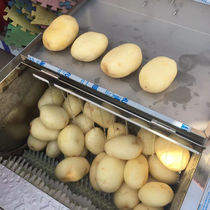 Fully automatic taro cleaning machine Potato taro peeling machine Commercial sweet potato radish cleaning and peeling machine