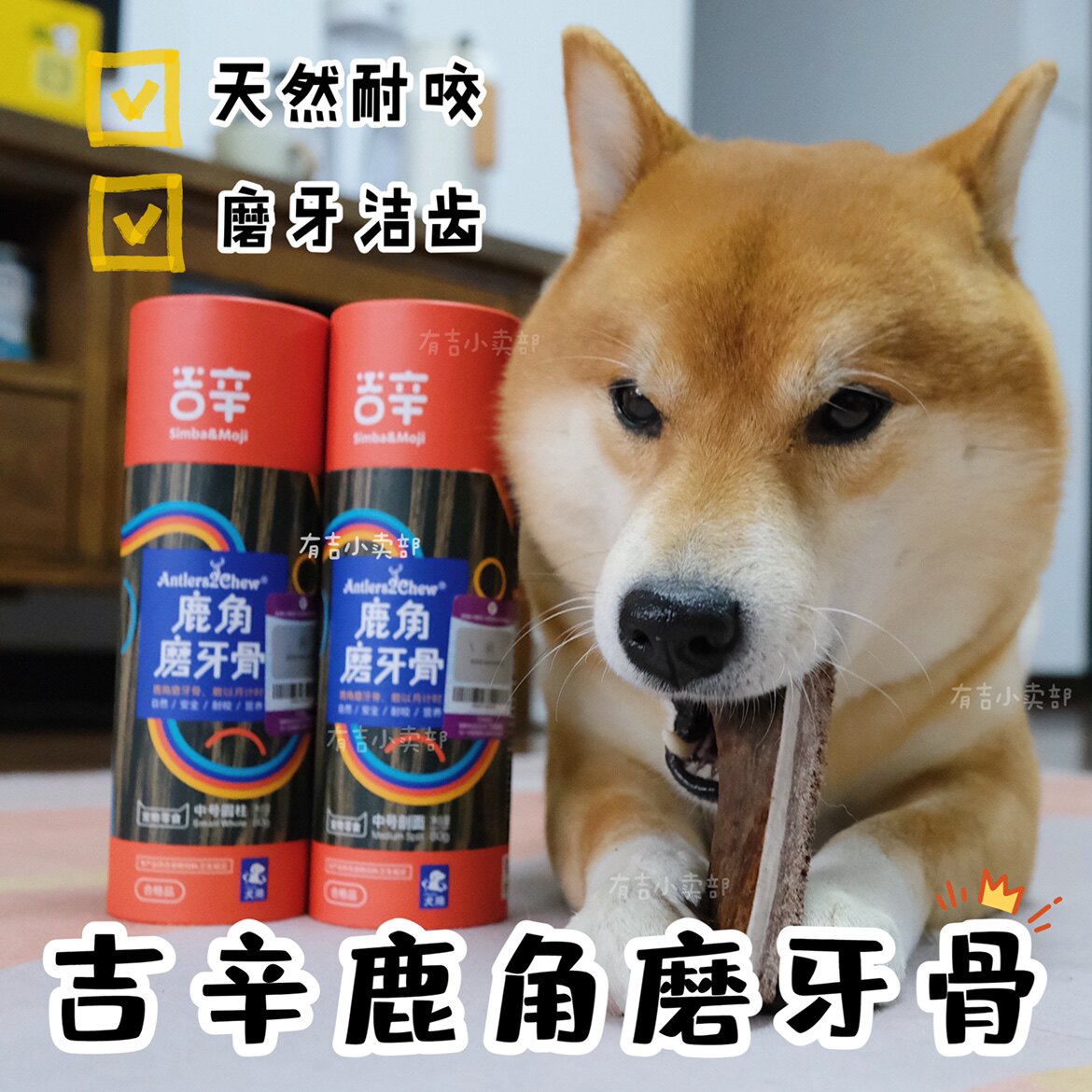Gising Natural Deer Antlers Dog Grinders Chai Dogs Kirky Pets Clean Teeth Bone Imports Bite-resistant snacks Toys