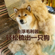 FURminator Fuminette Cat and Dog Comb Removal Brush Remove Floating Hair Chai Dog Corky Dowman