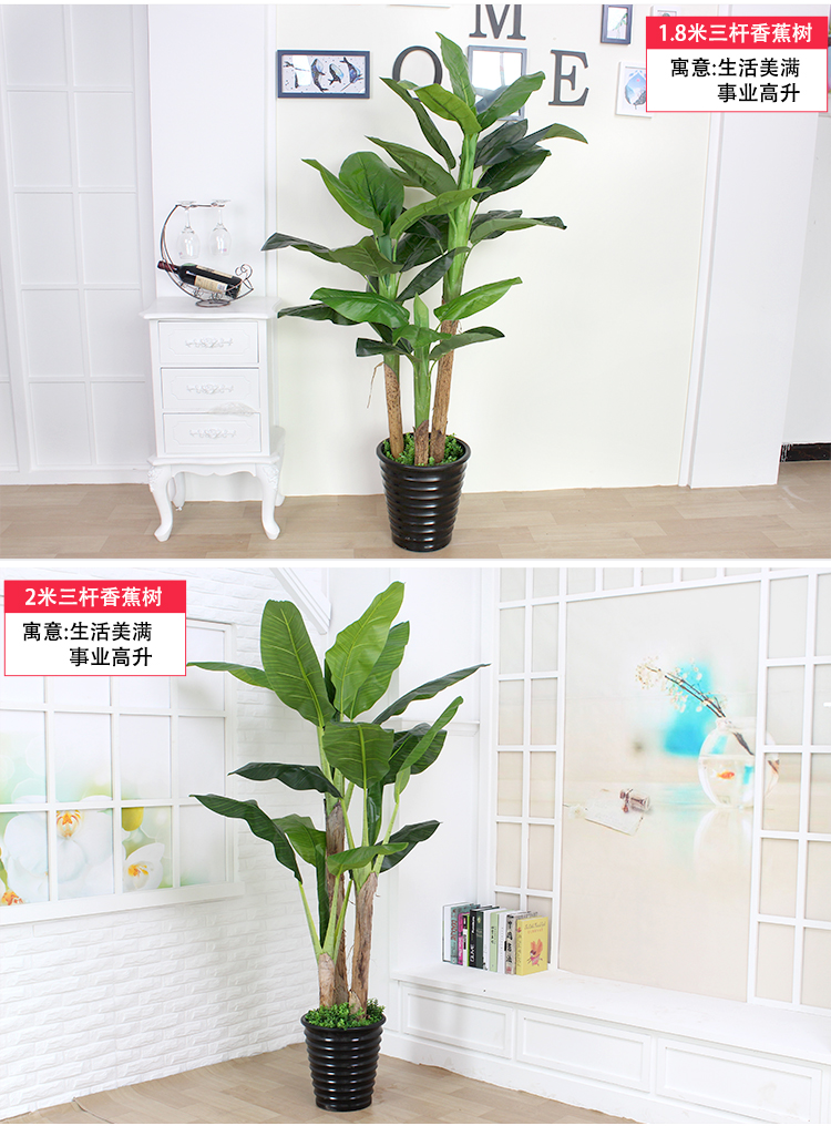 Cây chuối mô phỏng cây trang trí nội thất lớn cây giả cây chuối sàn chậu cảnh phòng khách hoa nhựa xanh - Hoa nhân tạo / Cây / Trái cây tuong cay gia