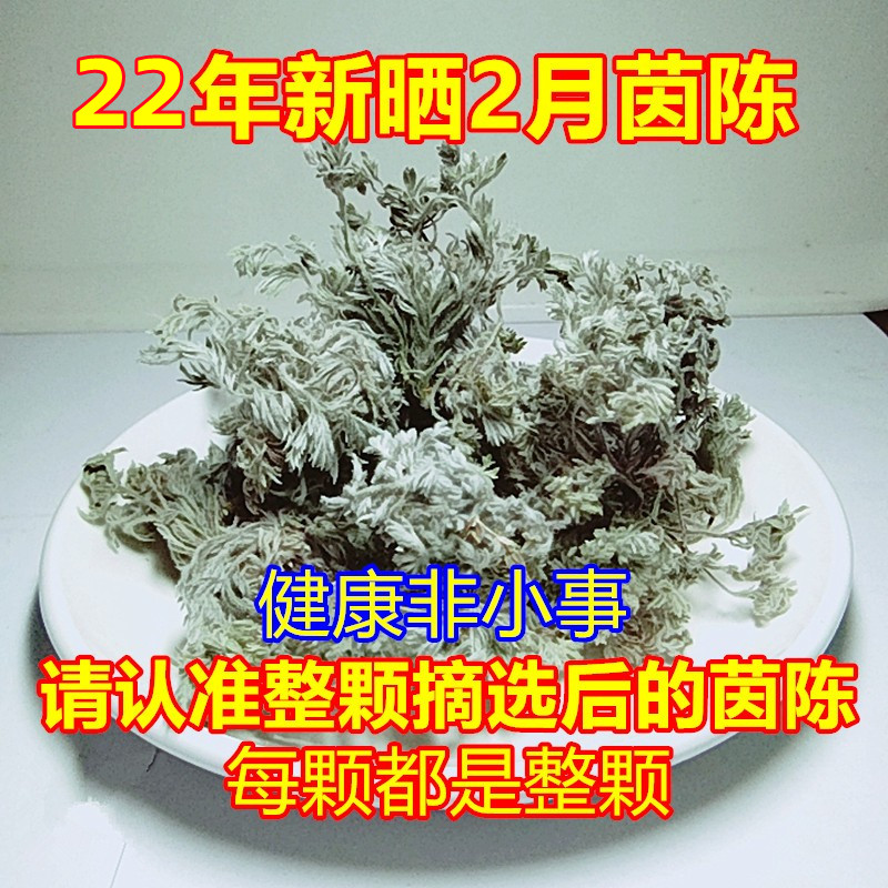 White Artemisia fresh Yinchen grass sun-dried cotton cotton Yinchen Miao tea wholesale distribution of Chinese herbal medicines due to aging in March