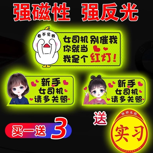 Логотип стажировки магнитный вождение Unified Syndom