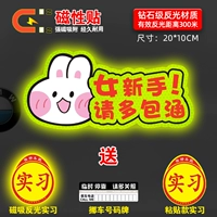 [Магнитное отражение] Симпатичная кроличья-мульти-пака (стажер с магнитным страданием) купить 1 раздел 4