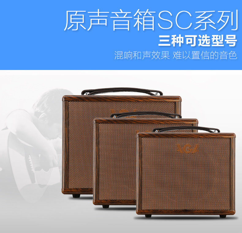 Đức AGA SC20 40 60W loa acoustic dân gian loa điện hộp âm thanh guitar cổ điển - Loa loa loa chép
