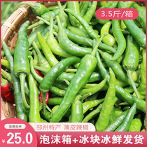 (Now pick 3 5 pounds of pepper)Pizhou Xuzhou Xinyi fresh green pepper small rice pepper thin skin farm pointed pepper