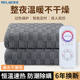 Meiling Electric Blanket Single/Double Dual-Control Electric Mattress Pad Enlarged 2m Beauty Bed Student Dormitory Heated Seat Cushion
