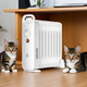 Huasheng Small Oil Heater for Home and Office, Heating Radiator, Electric Heater, Winter Heating Essential