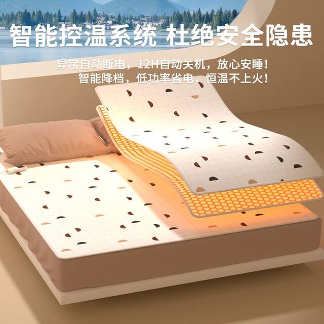 Royalstar Electric Blanket Single-Person Student Dormitory Household Electric Mattress Double-Person Dual-Control Heating Cushion 2024 New Model