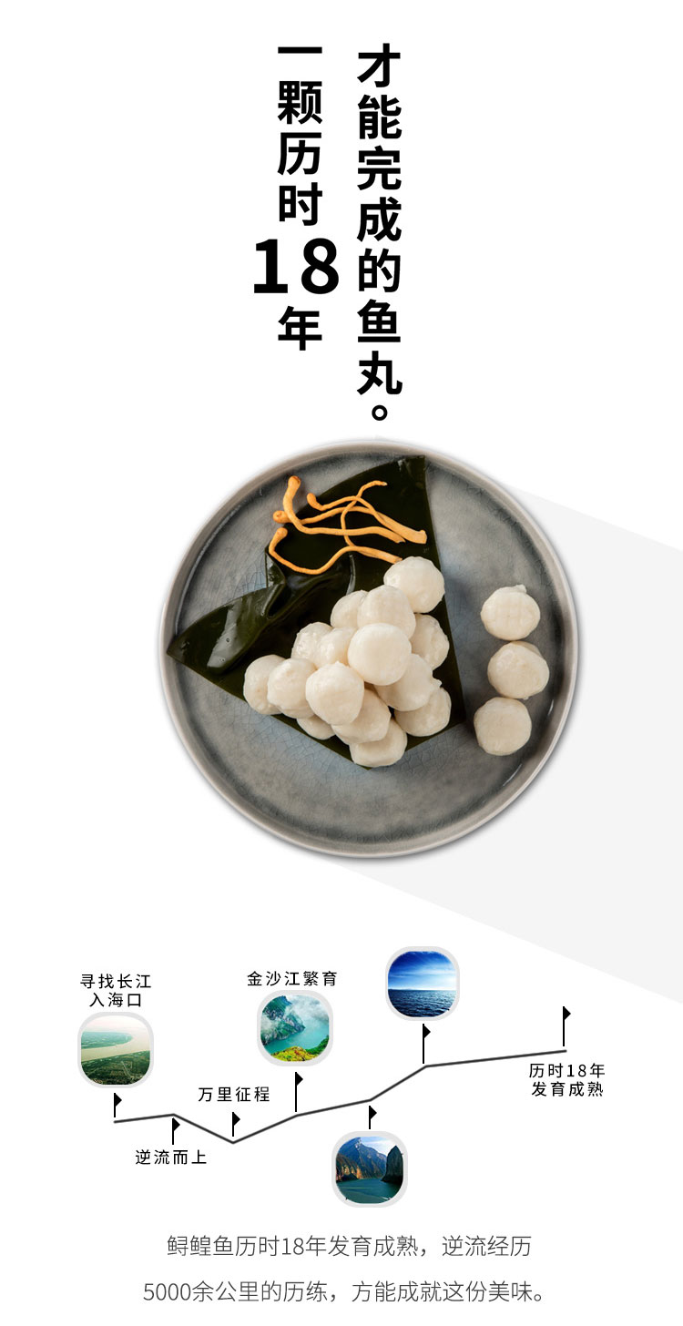 中洋鱼天下 鲟鱼 鱼肉丸子 145g*2件 天猫优惠券折后¥39.8包邮 赠深海鳕鱼棒150g*2罐