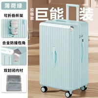 Мятный зеленый устойчивый