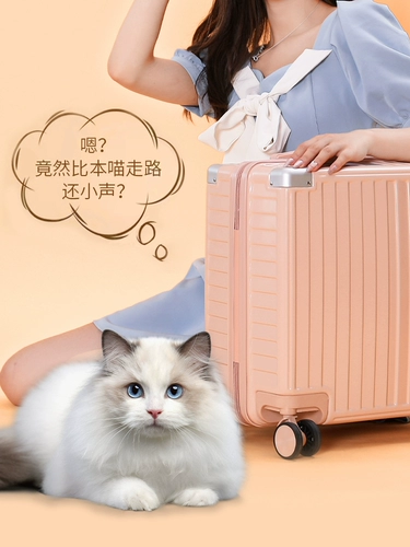 Чемодан, сумка, коробка, 18 дюймов, 20 дюймов, 2022