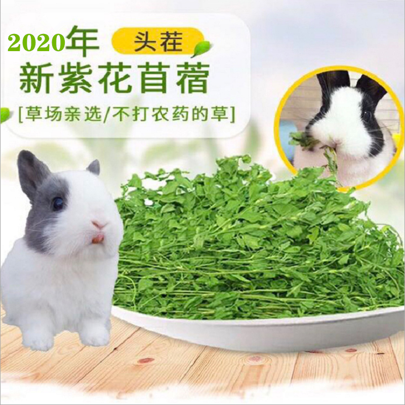 2021 newly dried alfalfa grass rabbit food totoro guinea pig hay rabbit Dutch pig pasture grass gross weight 1kg box