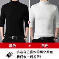 Черный+белый (обычная модель)