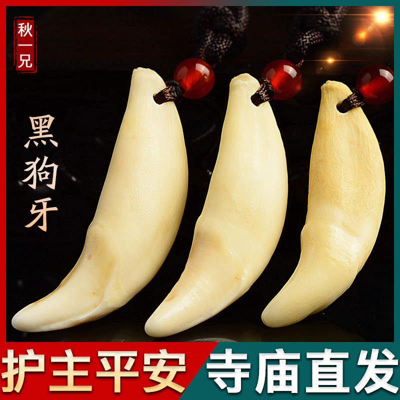 Authentic black dog tooth pendant pressure shock to prevent scaring babies, children, men and women, pregnant women, dog teeth necklace pendant