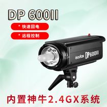 God Bull DP600WII Second-generation Photographic Lamp Suit Shadow Room Flash Shooting Lamp Taobao Costumes Portrait Photography