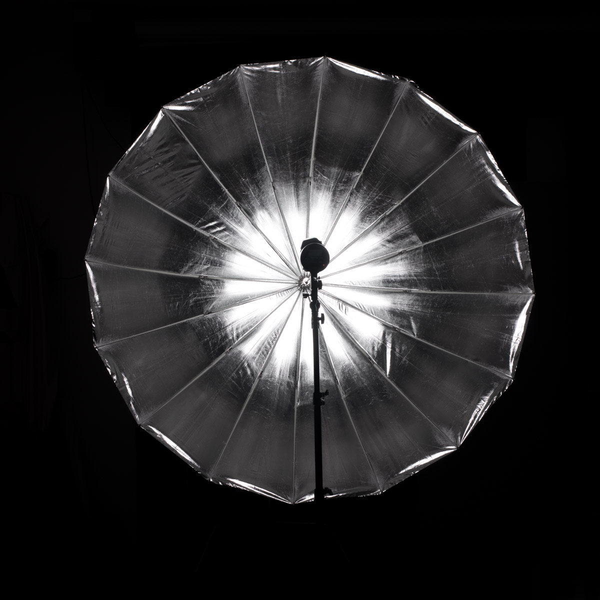 The parabolic parabolic parabolic parabolic parabolic parabolic 40 inch outlet quality 16 fiber umbrella bone