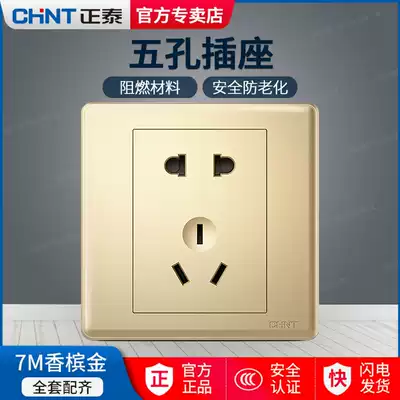 Chint Electric flagship 86 champagne gold 5-hole two-three-plug five-hole power electrical wall switch socket panel
